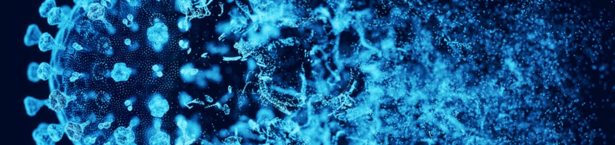 covid-19 virus