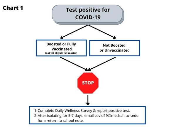 This chart is a graphical representation of the information in the table above